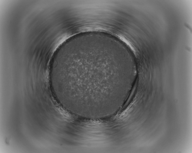 X0000091200975200708161610
