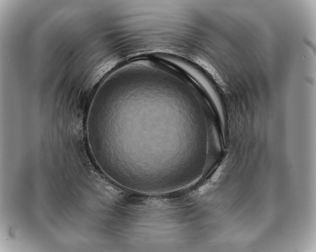 X0000091200977200708161610
