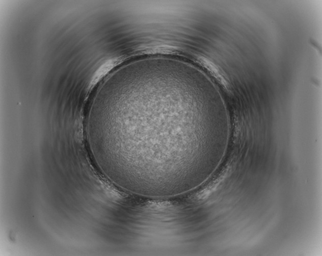 X0000091200978200708161610