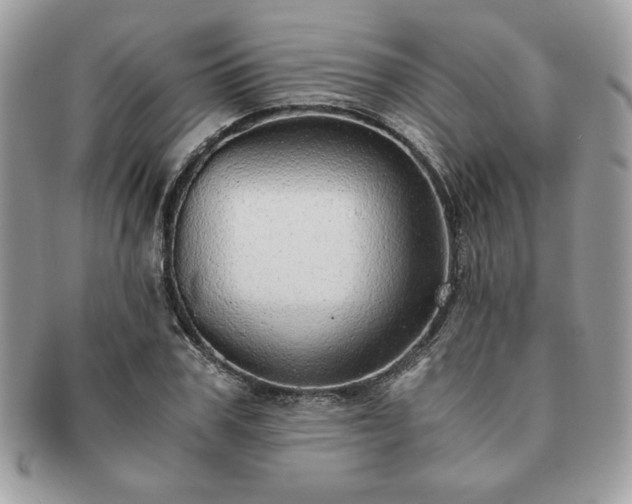X0000091200979200708161610