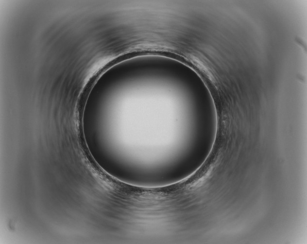 X0000091200981200708161610