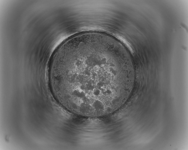 X0000091200983200708161610