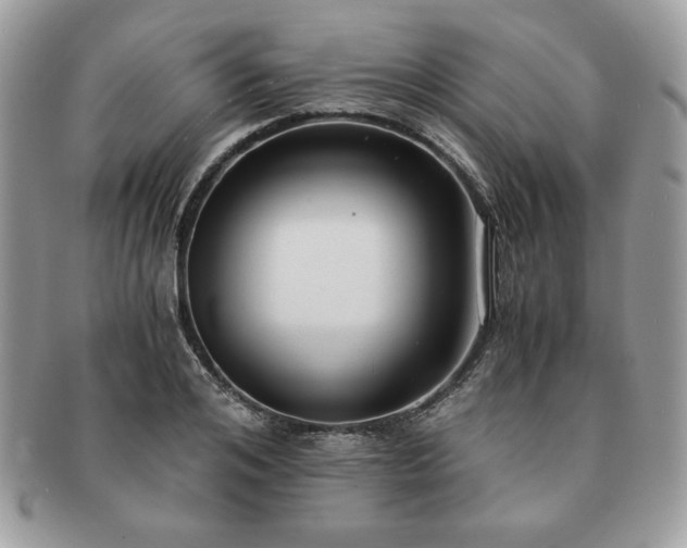 X0000091200984200708161610