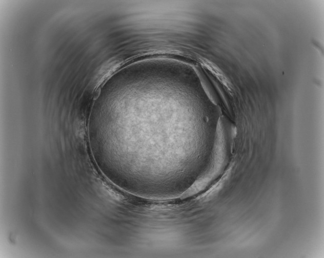 X0000091200985200708161610