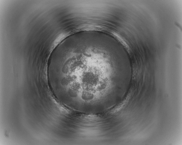 X0000091200986200708161610