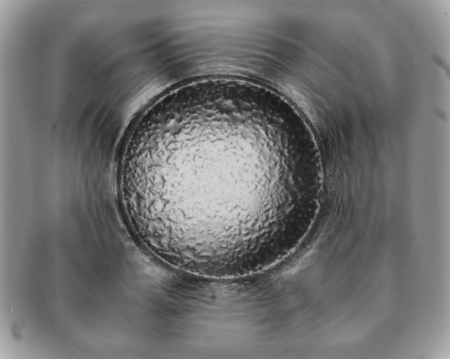 X0000091200987200708161610
