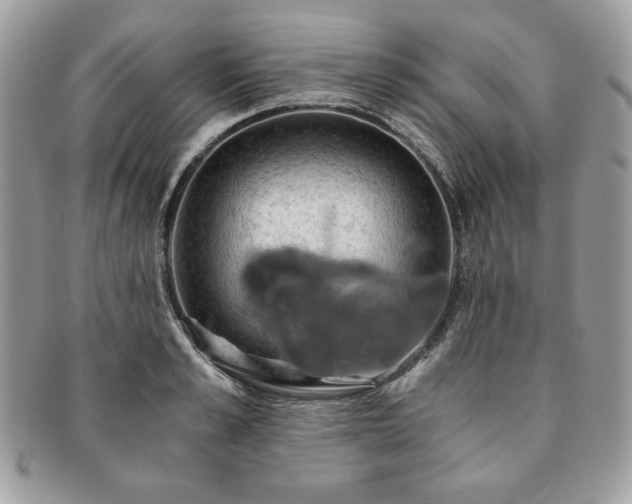 X0000091200989200708161610