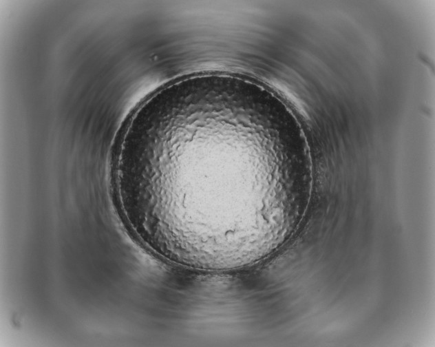 X0000091200991200708161610