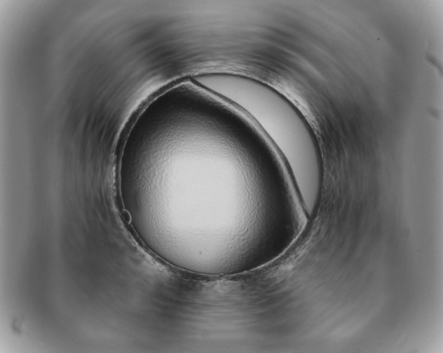 X0000091200992200708161610