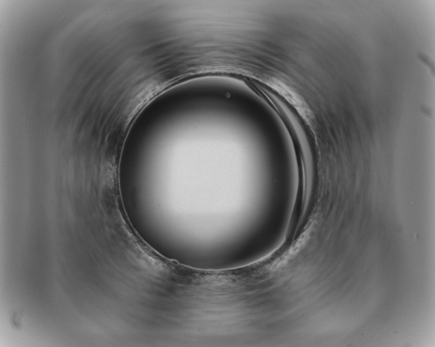 X0000091200993200708161610