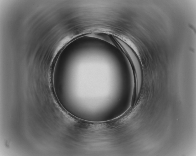 X0000091200997200708161610