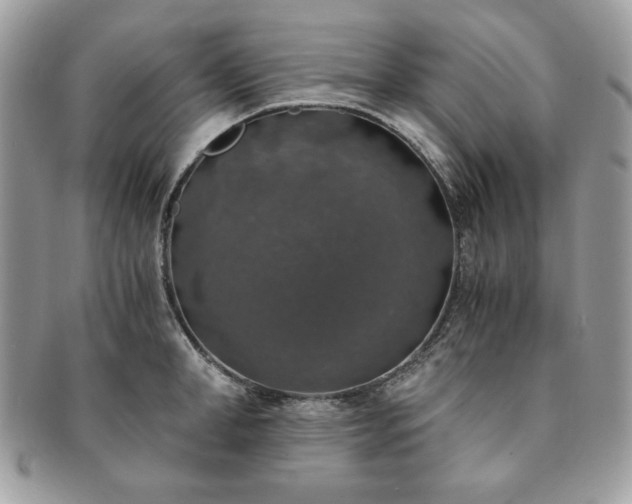 X0000091200998200708161610