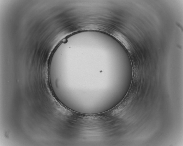 X0000091201000200708161610