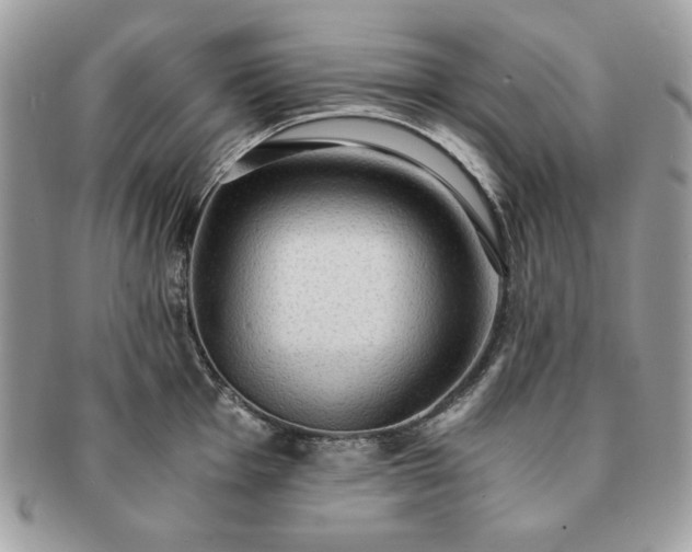 X0000091201001200708161610