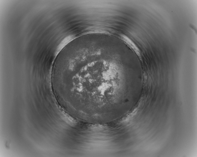 X0000091201002200708161610