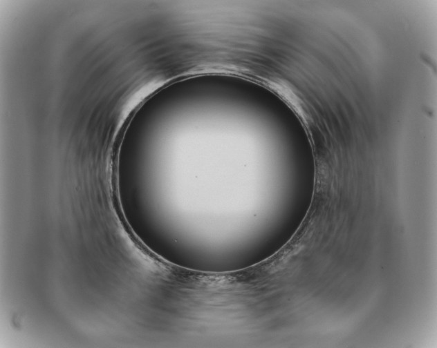 X0000091201003200708161610