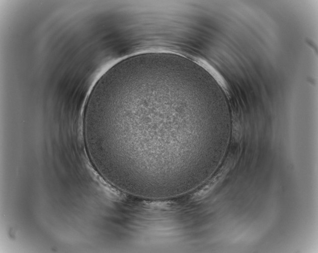 X0000091201004200708161610