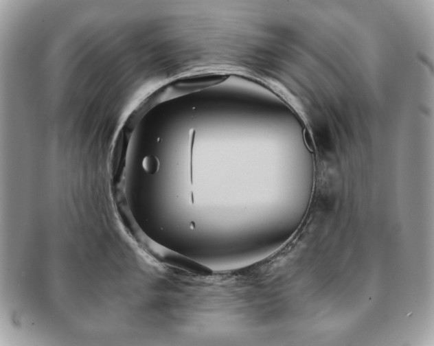 X0000091201005200708161610