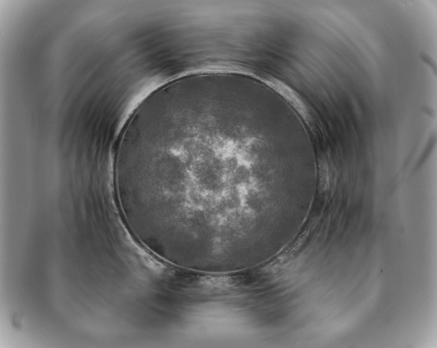 X0000091201006200708161610