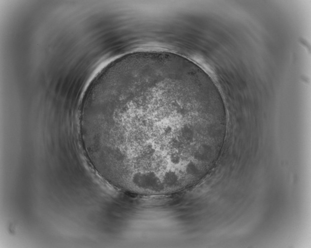 X0000091201008200708161610