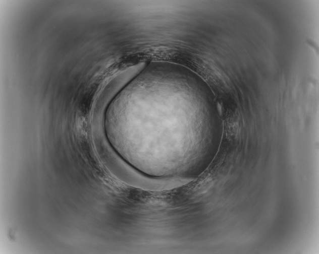 X0000091201010200708161609