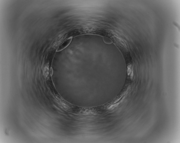 X0000091201011200708161609