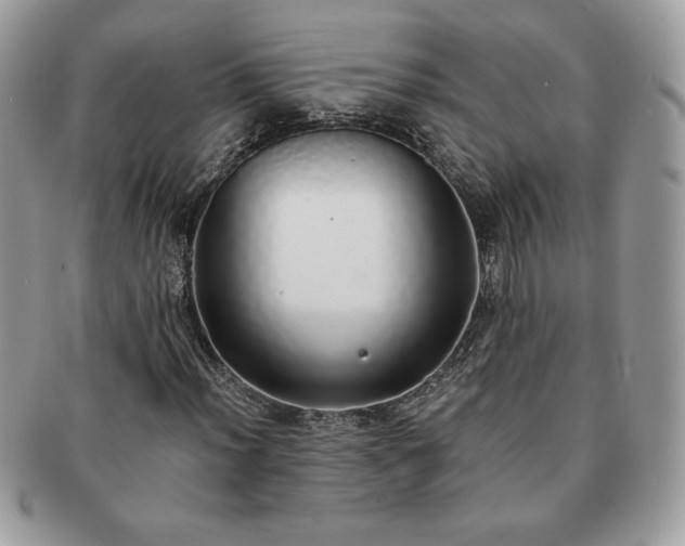 X0000091201012200708161609