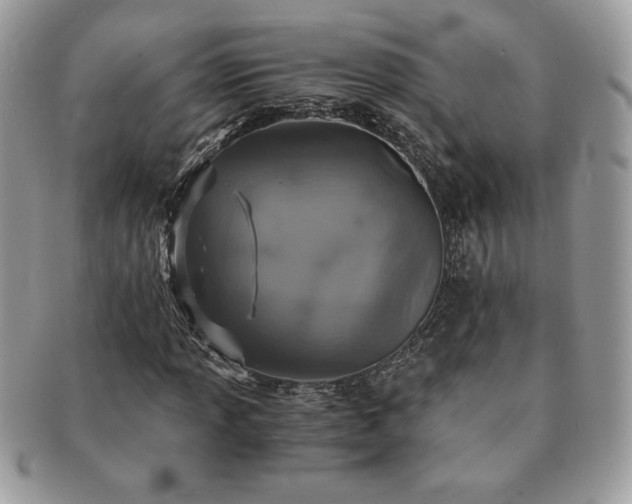 X0000091201013200708161609