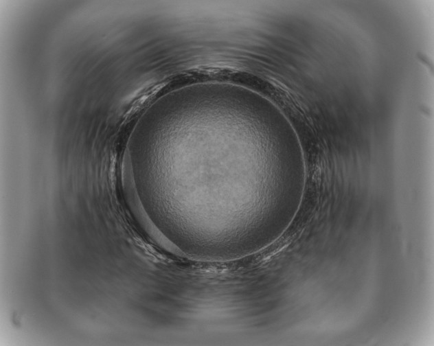 X0000091201014200708161609