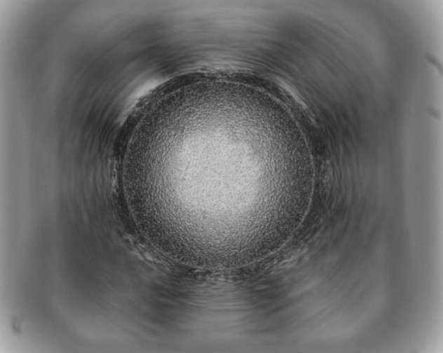 X0000091201016200708161609