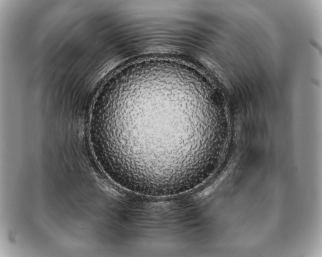 X0000091201017200708161609