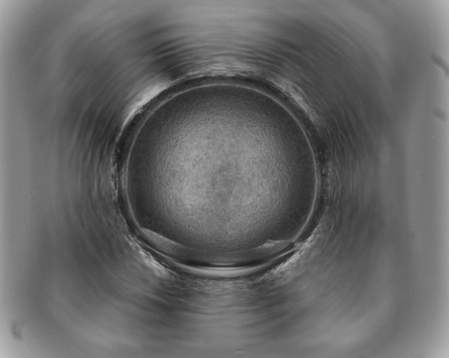 X0000091201018200708161609