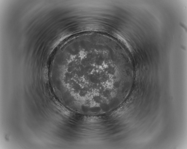 X0000091201019200708161609