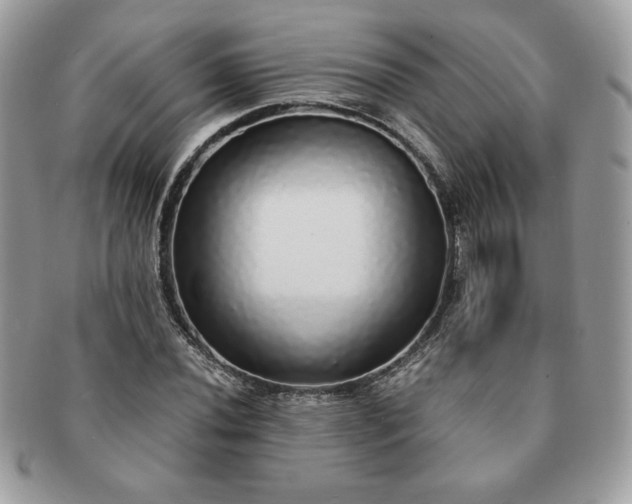 X0000091201020200708161609
