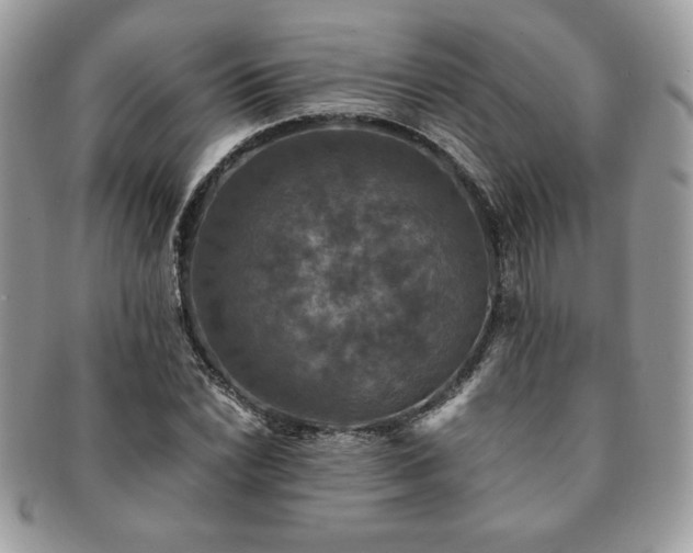 X0000091201022200708161610