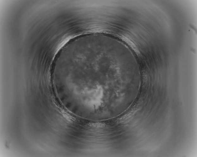 X0000091201023200708161610