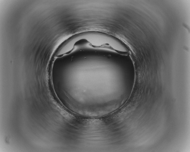 X0000091201024200708161610
