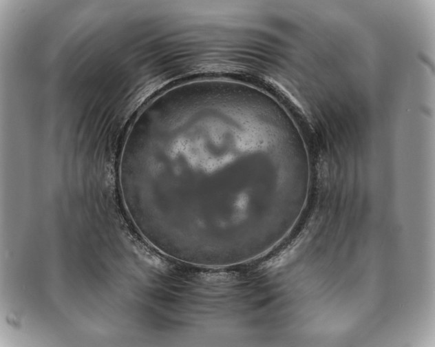 X0000091201025200708161610