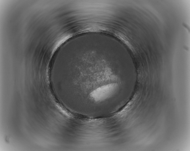 X0000091201026200708161610