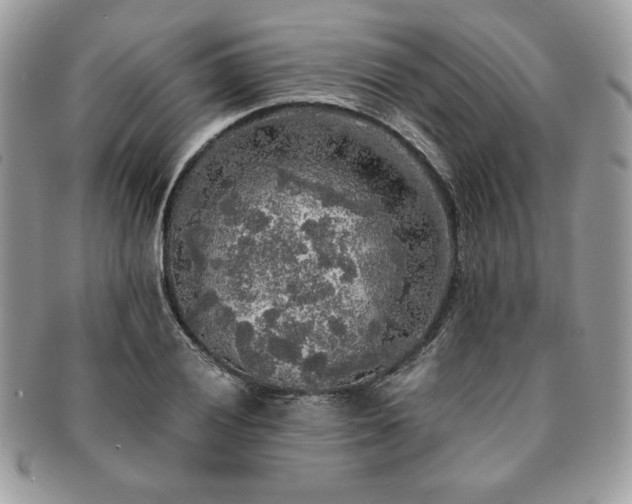 X0000091201028200708161610
