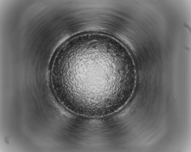 X0000091201029200708161610