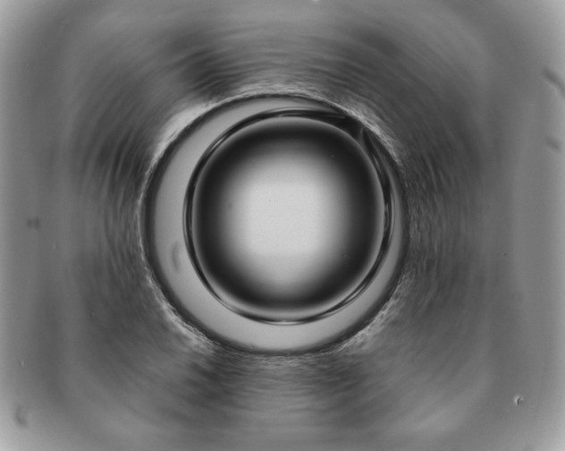 X0000091201030200708161610