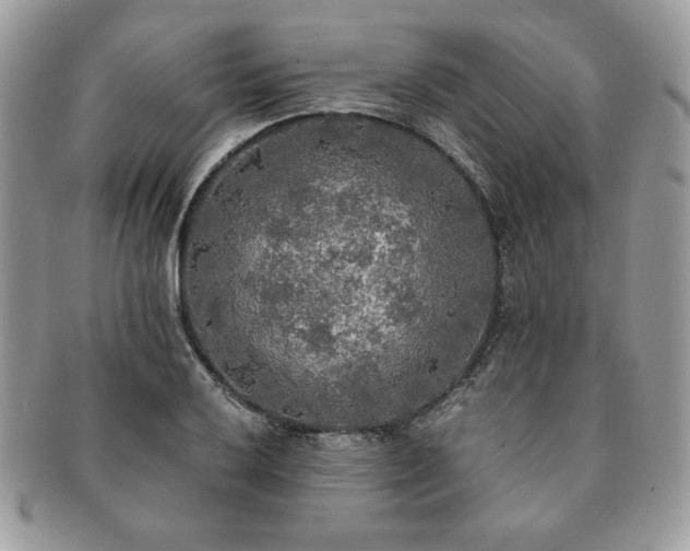 X0000091201032200708161610