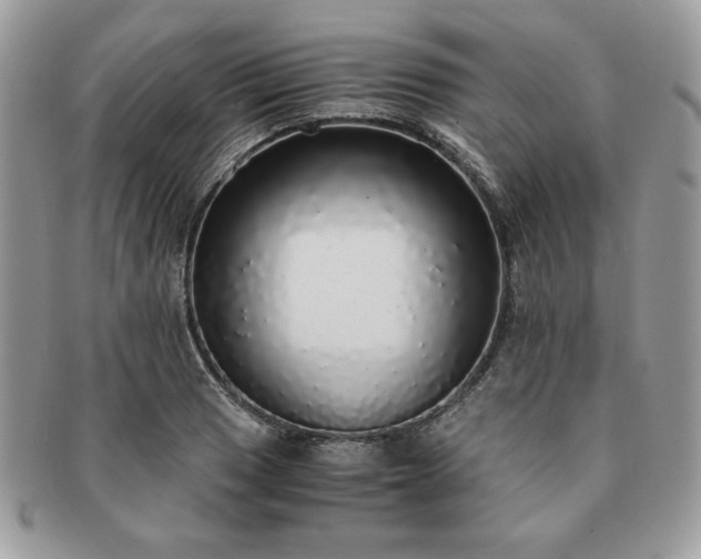 X0000091201033200708161610