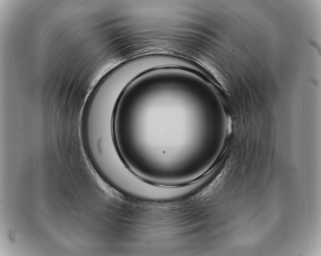 X0000091201034200708161610