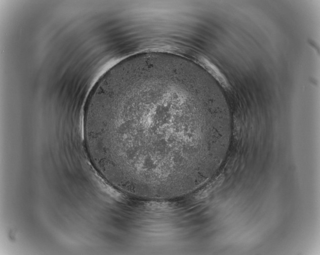 X0000091201036200708161610