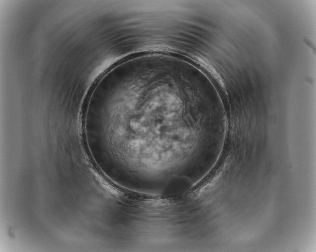 X0000091201037200708161610
