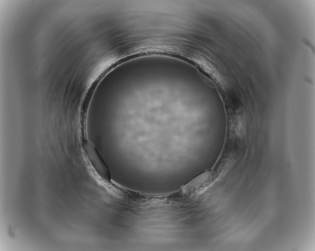 X0000091201038200708161610