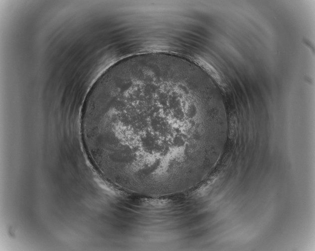 X0000091201039200708161610
