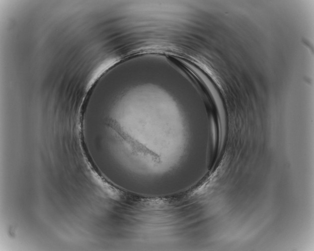 X0000091201042200708161610